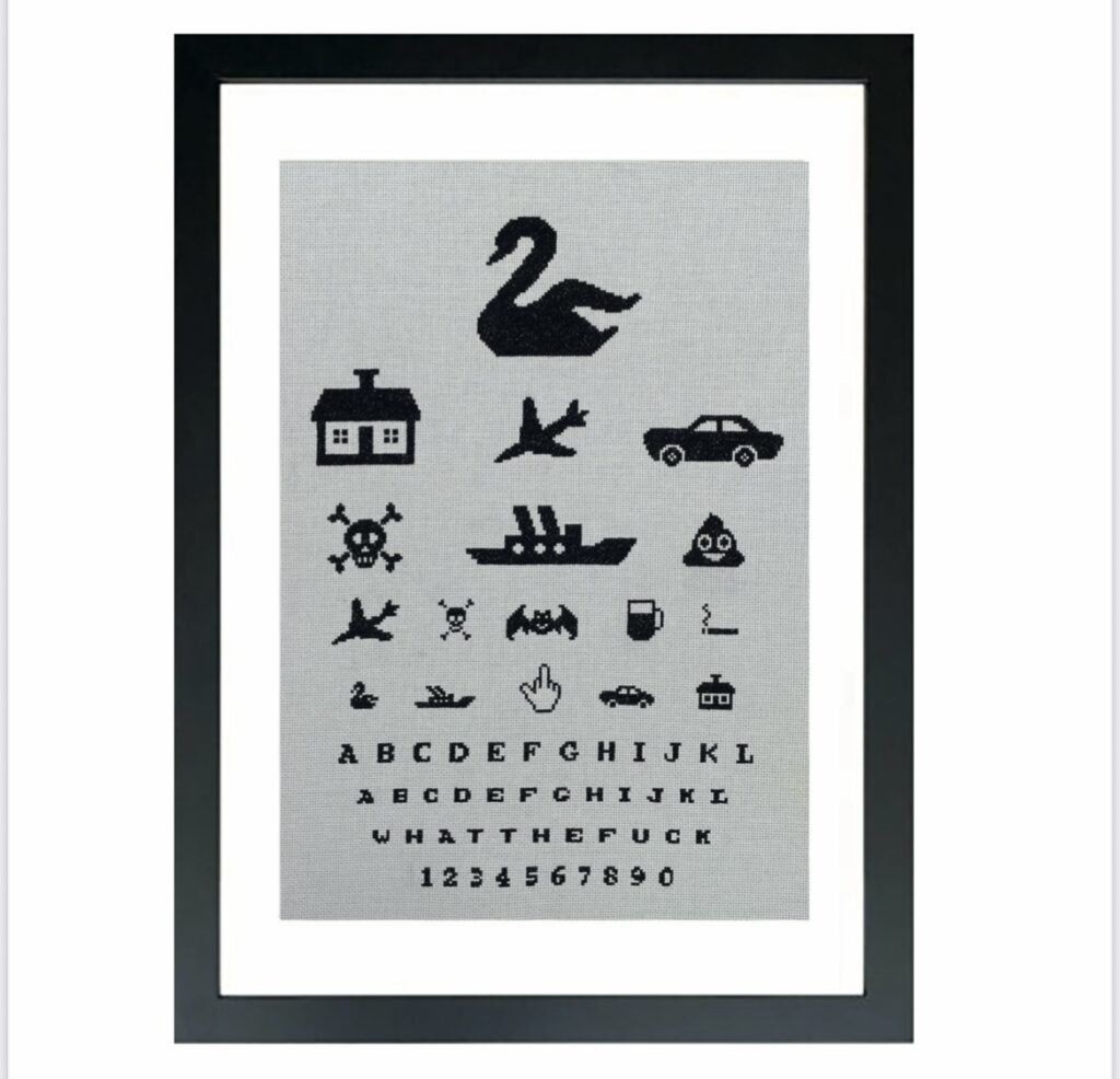 Broderistens synstest - What the fuck