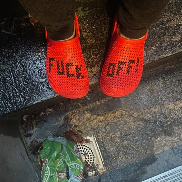 Broderistens broderede sko